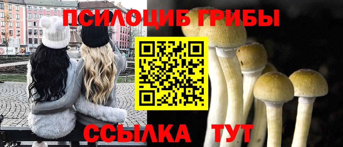 Галлюциногенные грибы прущие грибы Каменка