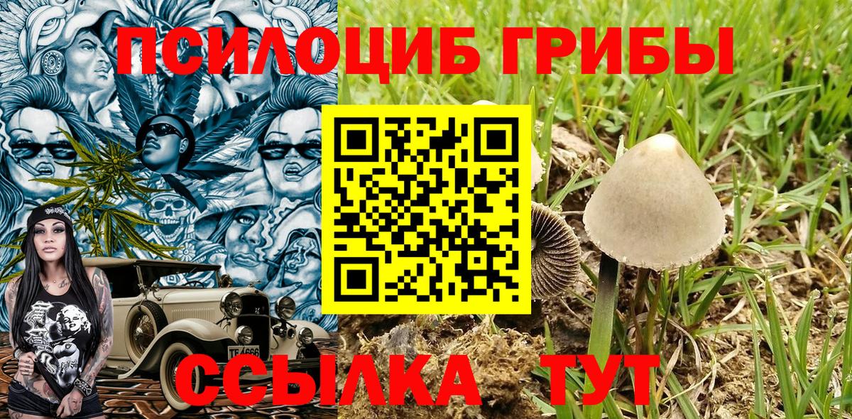 Галлюциногенные грибы мухоморы  Псилоцибиновые грибы MAGIC MUSHROOMS  Каменка  Вход с VPN 
